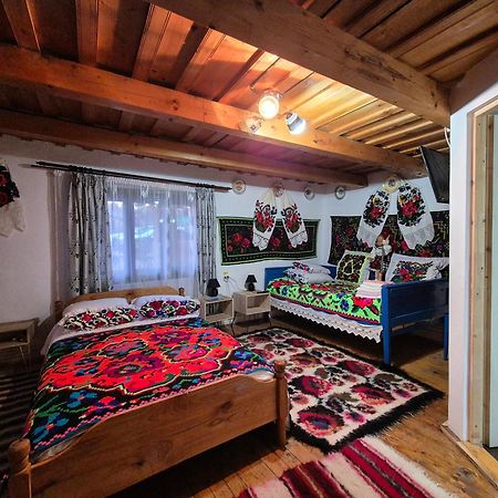 La Rodica In Vale Guest House Ocna Sugatag Bagian luar foto