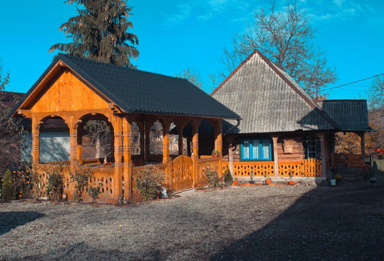 La Rodica In Vale Guest House Ocna Sugatag Bagian luar foto