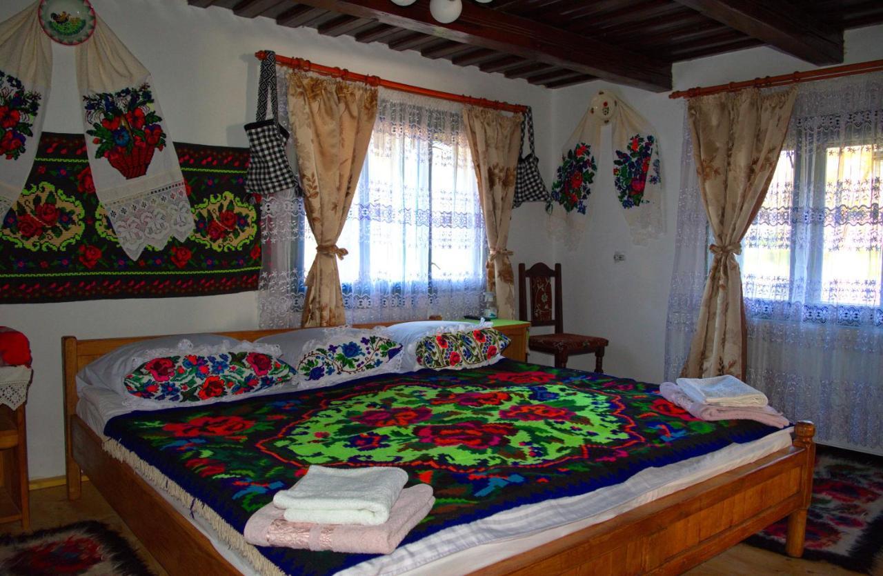 La Rodica In Vale Guest House Ocna Sugatag Bagian luar foto