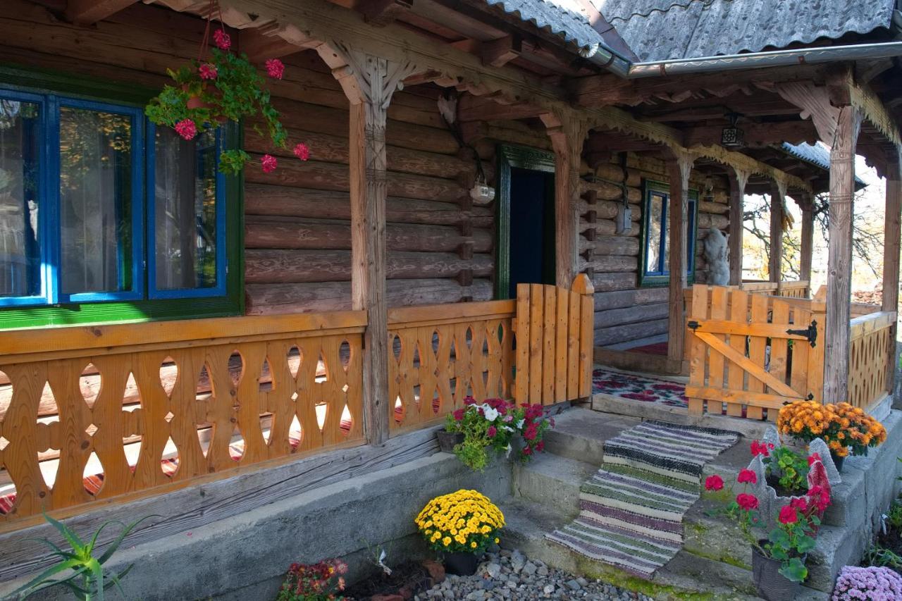 La Rodica In Vale Guest House Ocna Sugatag Bagian luar foto