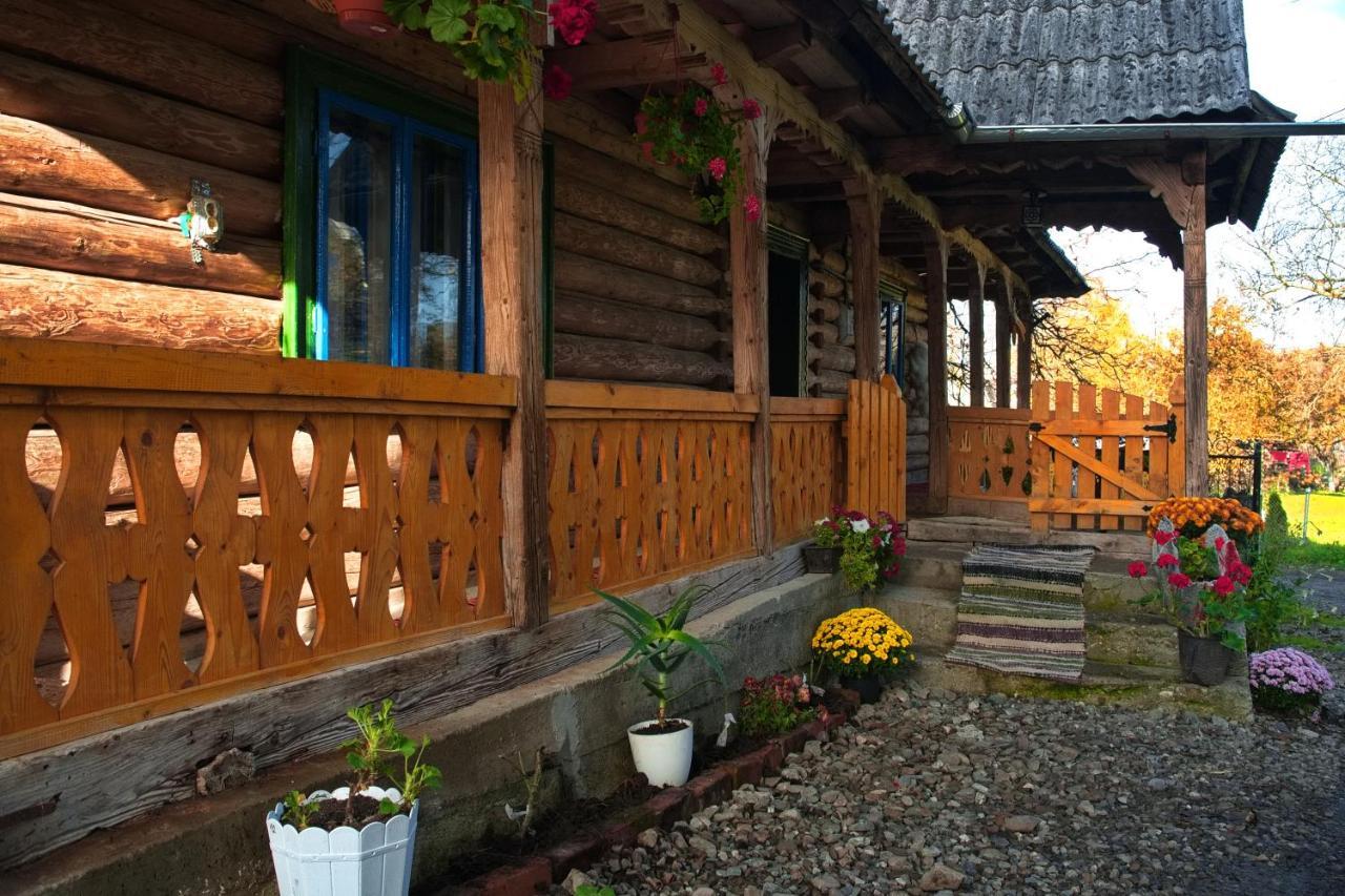 La Rodica In Vale Guest House Ocna Sugatag Bagian luar foto
